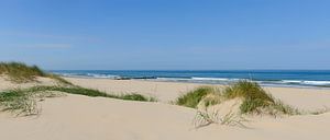 Vue panoramique de la plage en été sur la mer du Nord sur Sjoerd van der Wal Photographie