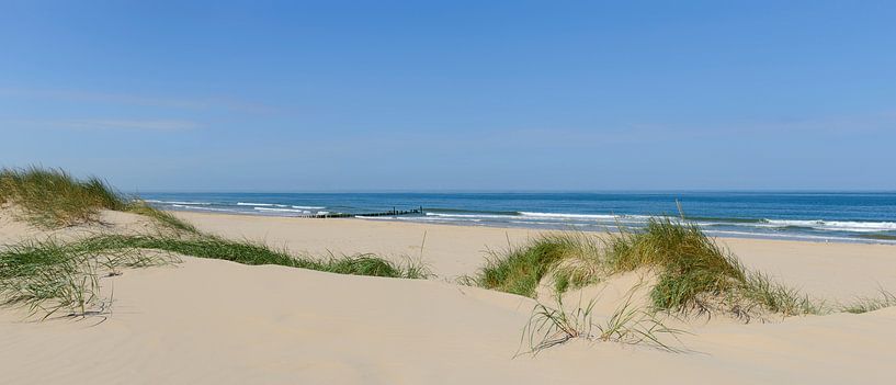 Vue panoramique de la plage en été sur la mer du Nord par Sjoerd van der Wal Photographie