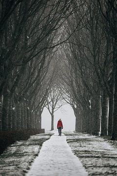 Eenzame wandelaar op de veste van Veere van Percy's fotografie