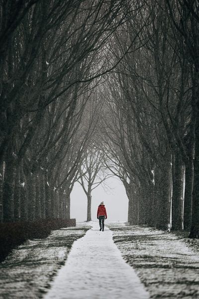 Einsamer Wanderer auf der Festung von Veere von Percy's fotografie