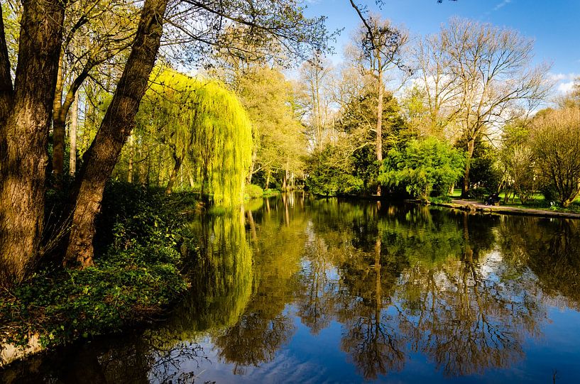 Meer in het Schöntalpark Aschaffenburg van Dieter Walther