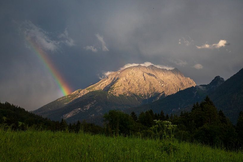 Irgendwo über dem Regenbogen von Ton Tolboom