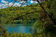 De Gemündener Maar in de Eifel in de lente van David Esser thumbnail