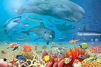 Animals in the sea