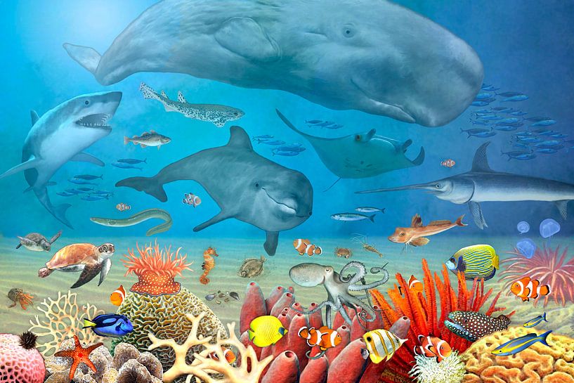 Tiere im Meer von Marion Krätschmer