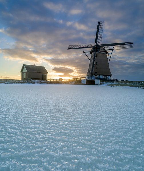 Winter auf Texel - Mill het Noorden - It giet oan! von Texel360Fotografie Richard Heerschap