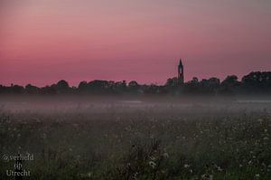 Nebel am Abend