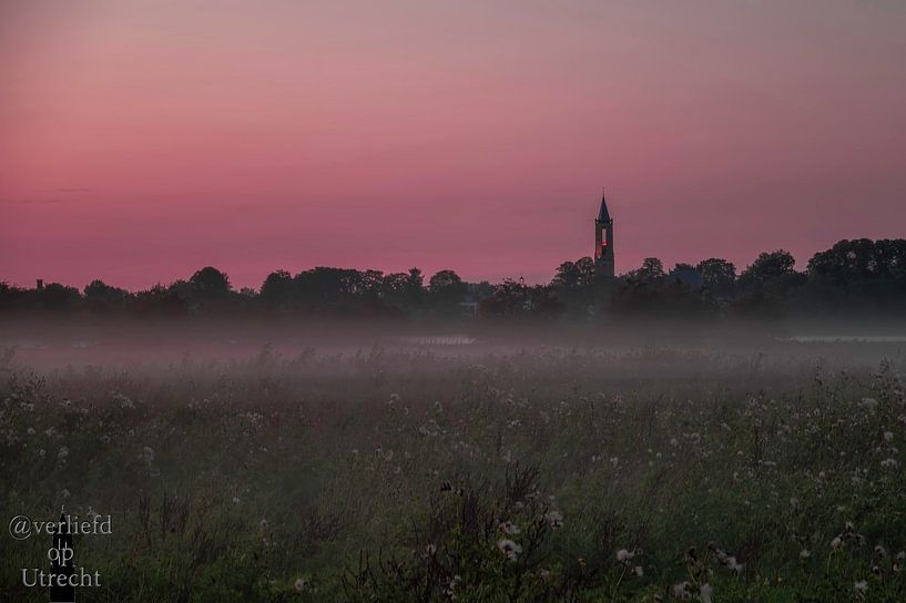 Nebel am Abend von Robin Pics (verliefd op Utrecht)