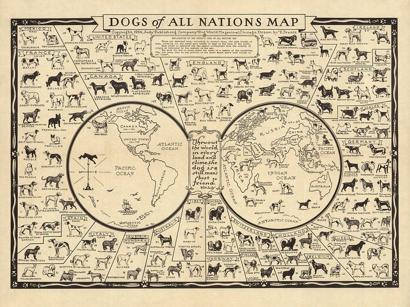 Carte des chiens de tous les pays par World Maps