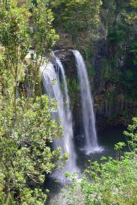 Whangārei Falls eingefroren in der Zeit
