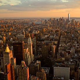 Uitzicht New York, Manhattan van Ronald Dijksma