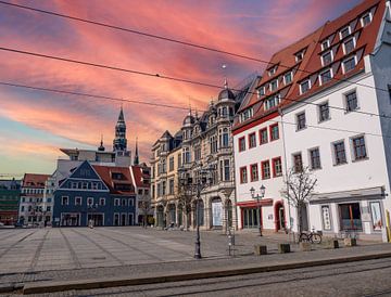 Altstadt mit Markt von Zwickau von Animaflora PicsStock