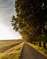 Sonnenuntergang