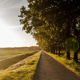 Sonnenuntergang von Niels Heijne