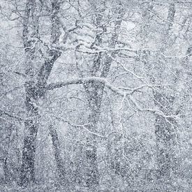 Haarvaten van Richard Kalkman fotografie