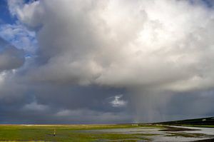 Nordseedusche