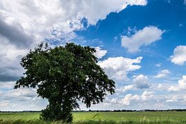 Landscapes and Cloudscapes over Drente