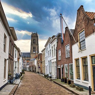 Le pittoresque Zaltbommel sur Harry Hadders