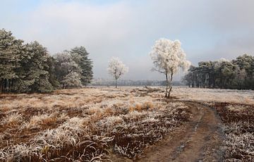 Winters landschap sur Jan Katsman