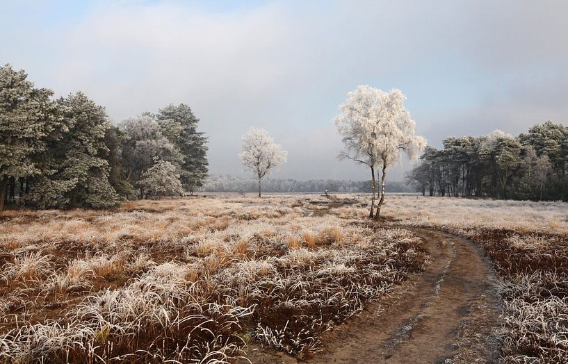 Winters landschap par Jan Katsman