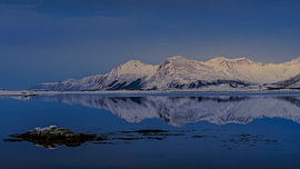 Berge in einem stillen Fjord zur blauen Stunde, Lofoten von ErwinFloor-Photography