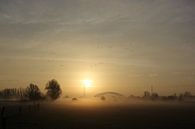 Mistige Uiterwaarden Oosterbeek von Maarleveld Fotografie Miniaturansicht