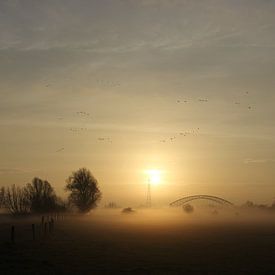 Mistige Uiterwaarden Oosterbeek von Maarleveld Fotografie