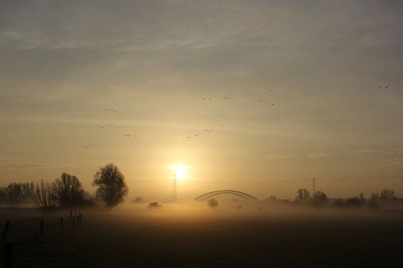 Mistige Uiterwaarden Oosterbeek von Maarleveld Fotografie