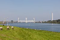 botlek bridge