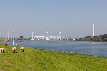 Botlek-Brücke von Joop Kalshoven