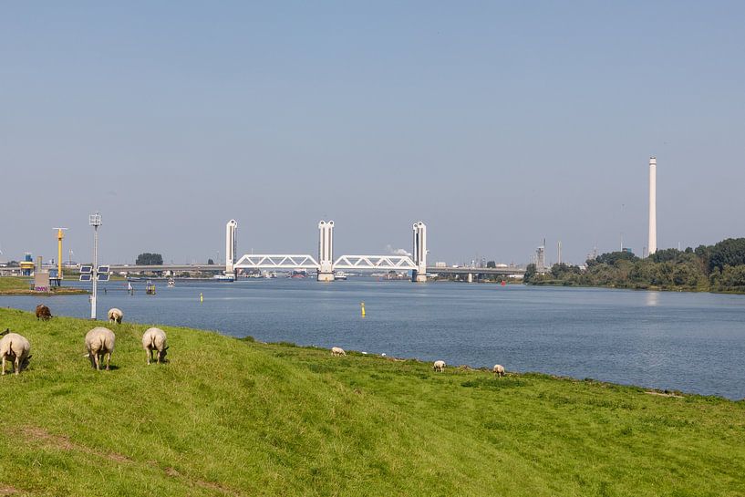 botlek bridge by Joop Kalshoven