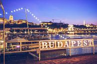 Budapest – Donau-Ufer / Kettenbrücke von Alexander Voss Miniaturansicht