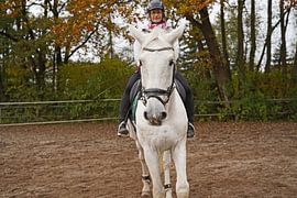 Training with the white horse on a riding arena in autumn