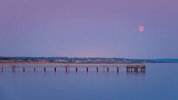 Lune de sang à Falkenberg sur Henk Meijer Photography