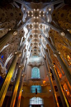 Prachtige Sagrada Familia van Guido Akster