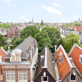 panoramic skyline Amsterdam van Umana Erikson