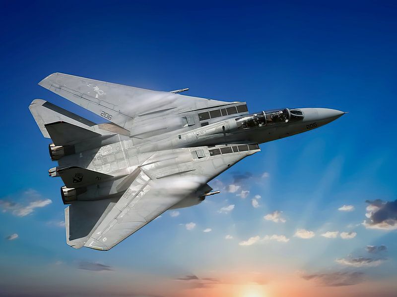 Grumman F-14 Tomcat, USA by Gert Hilbink