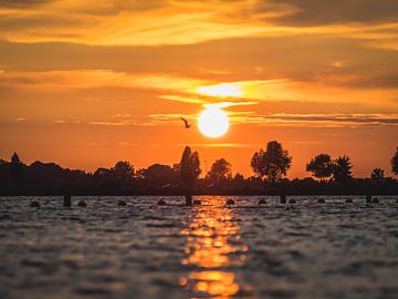 De Zon Zakt Bij De Haarrijnseplas van Mr White Takes Pictures