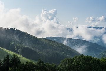 Autumn morning above the black forest germany with waft of mist by adventure-photos