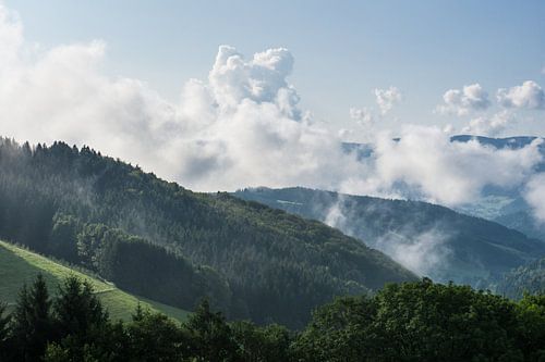 Matin d'automne au-dessus de la forêt noire en Allemagne avec une vague de brume