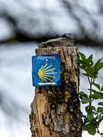 Wohin nun nach Compostela