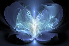 Engel des Wortes von Shirley Hoekstra