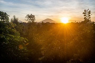 Sonnenaufgang mit Vulkan Gunung Agung aus Ubud von Ellis Peeters