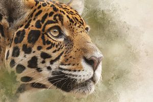 Jaguar in konzentrierter Stille