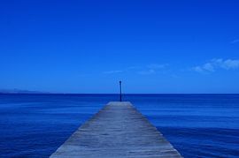 Blauw van Mariska Van Brustum