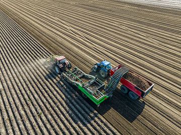 Tekkers rooien aardappelen in een veld van bovenaf gezien van Sjoerd van der Wal Fotografie