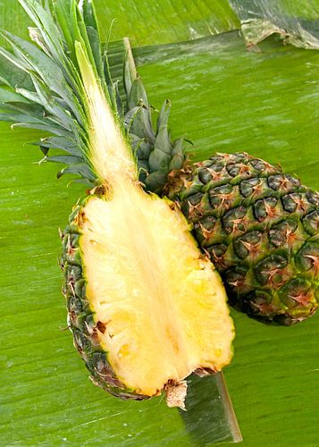 fruit1445