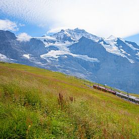 Zahnradbahn Kleine Scheidegg. Blick zur Jungfrau Schweiz von SusaZoom