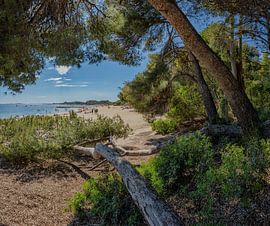 Strand Plage de l'Argentière am Rande des Waldes, La Londe-les-Maures, Var, Frankreich von Rene van der Meer