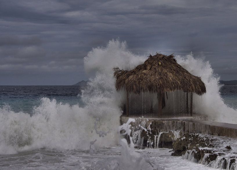 Bonaire von Fer Hendriks
